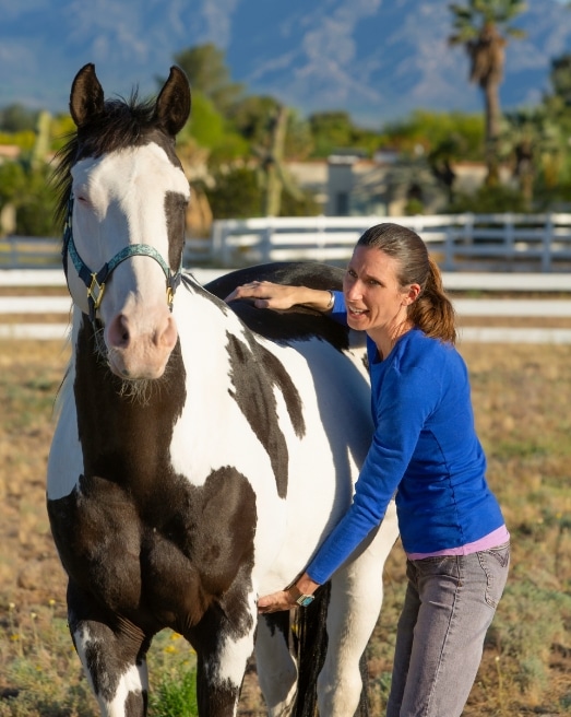 Equine osteopathy for horses Barrie, Toronto, GTA